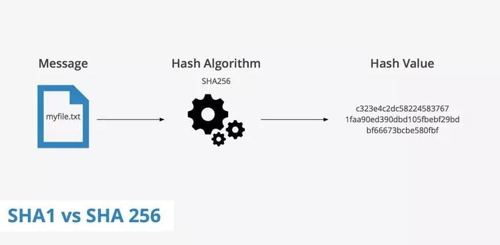 SHA Secure Hashing Algoritması Nedir?