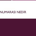 Cutter Numarası Nedir Nasıl Verilir