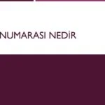 Cutter Numarası Nedir Nasıl Verilir