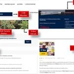 Kütüphane Web Sayfaların Görsel Tasarımı Nasıl Olmalıdır? Atatürk Üniversitesi Prof. Dr. Fuat Sezgin Kütüphanesi Örneği