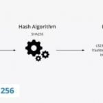 SHA Secure Hashing Algoritması Nedir?