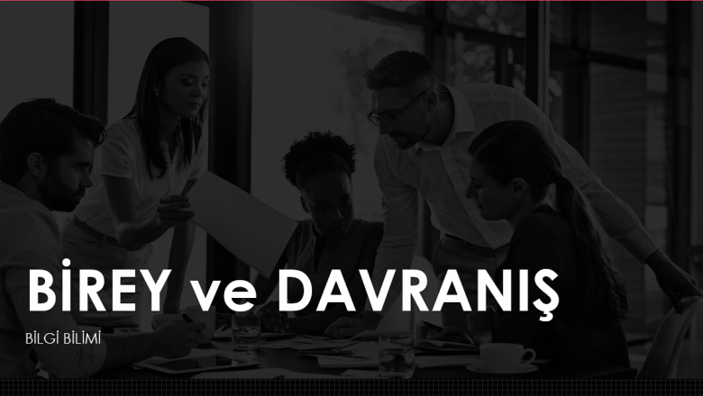 Birey ve Davranış