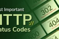 HTTP/1.1 Protokolünde Tanımlanmış Tüm Durum Kodları ve Açıklamaları